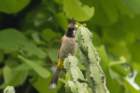 dsc07499_small.jpg