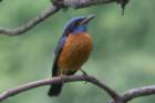 dsc07605_small.jpg