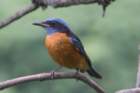 dsc07621_small.jpg