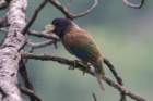 dsc07680_small.jpg