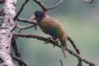 dsc07683_small.jpg