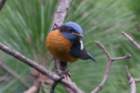 dsc07778_small.jpg