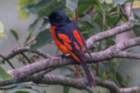 dsc07808_small.jpg