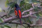 dsc07811_small.jpg