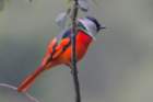 dsc07818_small.jpg