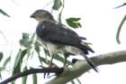 dsc09360_small.jpg