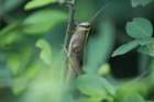 dsc09371_small.jpg