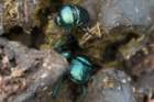 dsc09383_small.jpg