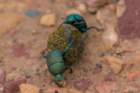 dsc09384_small.jpg