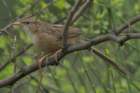 dsc09397_small.jpg