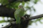 dsc09413_small.jpg