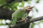 dsc09416_small.jpg