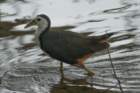 dsc09470_small.jpg