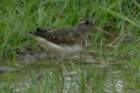 dsc09484_small.jpg