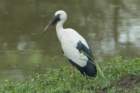 dsc09562_small.jpg