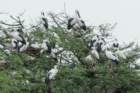 dsc09576_small.jpg