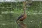 dsc09630_small.jpg