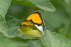 dsc09643_small.jpg