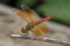 dsc09644_small.jpg