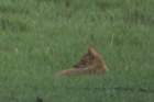 dsc09660_small.jpg