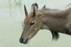 dsc09667_small.jpg