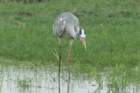 dsc09731_small.jpg