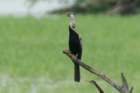 dsc09753_small.jpg
