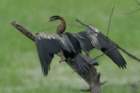 dsc09760_small.jpg