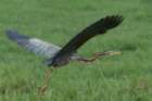 dsc09786_small.jpg