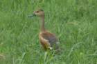 dsc09806_small.jpg