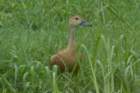 dsc09810_small.jpg