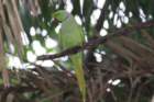 dsc09824_small.jpg