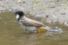 dsc09837_small.jpg
