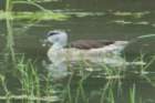dsc09857_small.jpg