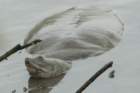 dsc09882_small.jpg