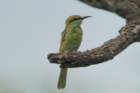 dsc09883_small.jpg