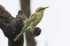 dsc09891_small.jpg