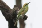 dsc09894_small.jpg