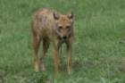 dsc09913_small.jpg