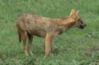 dsc09914_small.jpg