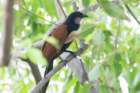 dsc09928_small.jpg
