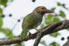 dsc09939_small.jpg