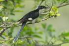 dsc09974_small.jpg
