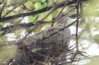 dsc10007_small.jpg