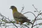 dsc10042_small.jpg