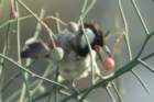 dsc01031_small.jpg