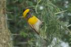dsc01248_small.jpg