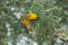 dsc01252_small.jpg