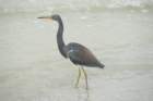 dsc08280_small.jpg