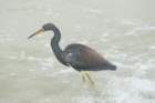 dsc08281_small.jpg